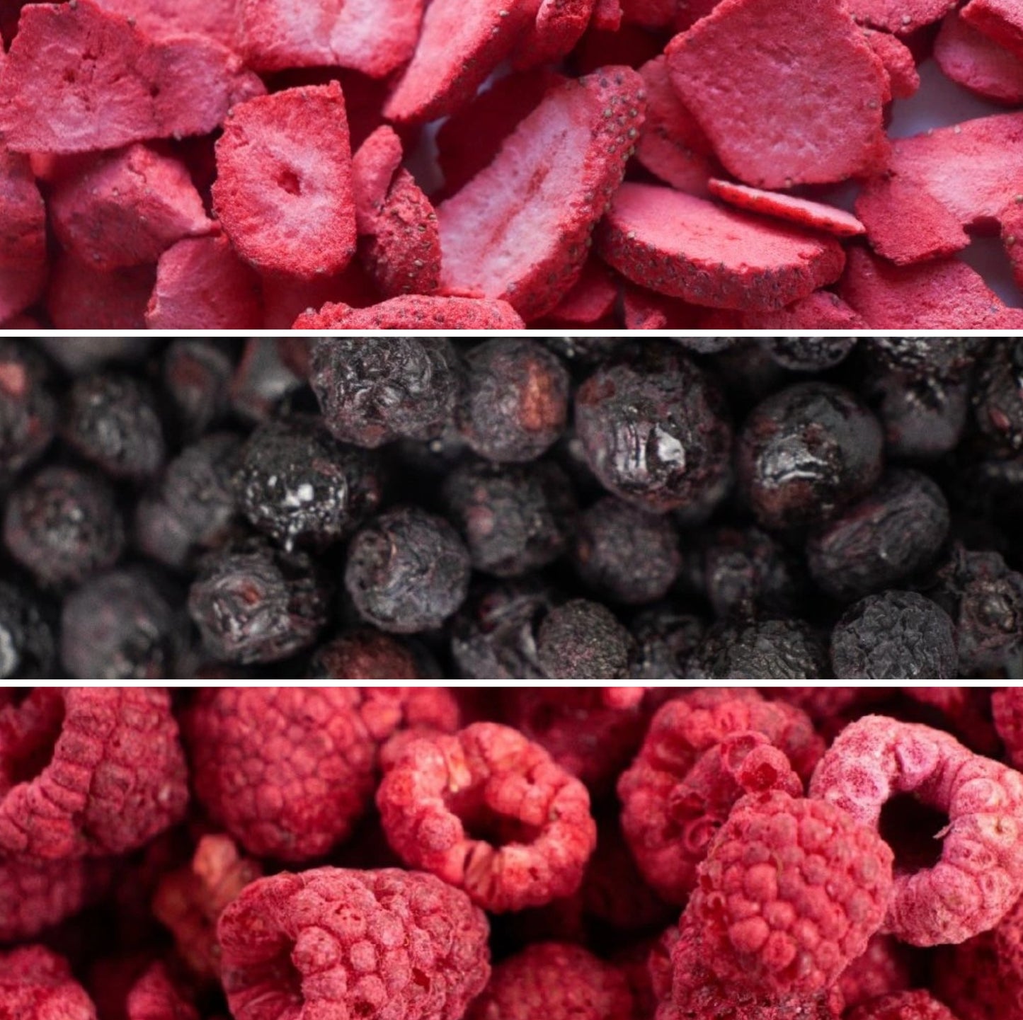 The Fruiteeze® Breakfast Trio - Strawberries, Raspberries, Blueberries